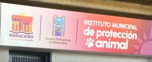 Instituto Municipal de Protección Animal (IMPA)