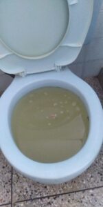 En los baños de Monte Bello los propietarios usan mucho cloro para mantener a raya a bacterias y "bichos raros" que aparecen en el agua contaminada. (Foto: Eduardo Colina)