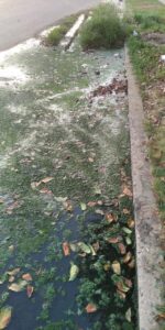 La reacción química que causa el cloro sobre otro de los charcos podridos pone en evidencia el peligro ambiental que corren los vecinos. (Foto: Eduardo Colina)