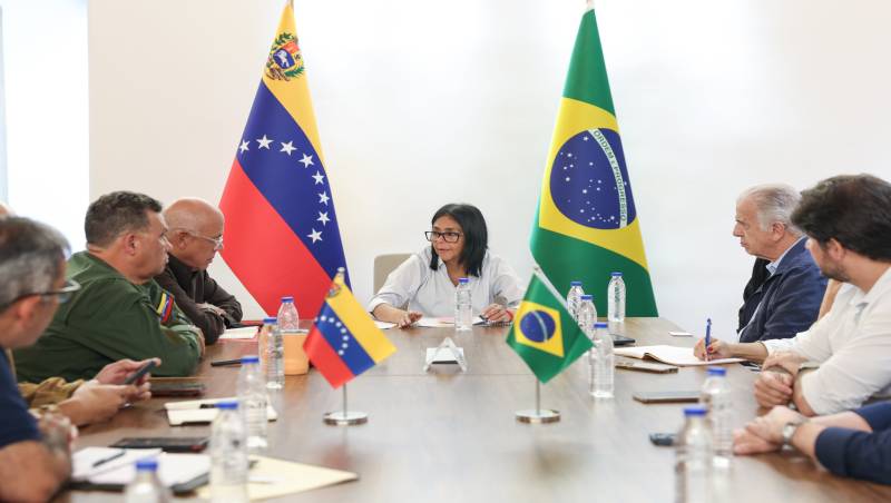 delcy min defensa brasil